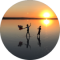Melteminanc Avatar
