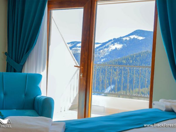 Artvin-otel-Black-Forest-Hotel-Artvin-Hotel-Savsat-Otel-savsat-otel-Exclusive-Oda-3
