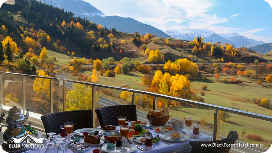 Artvin otel Black Forest Hotel Artvin Hotel Savsat Otel savsat otel odalar11