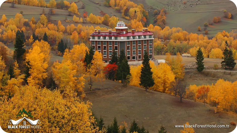 Artvin otel Black Forest Hotel Artvin Hotel Savsat Otel savsat otel odalar4