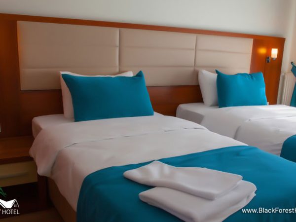 Artvin-otel-Black-Forest-Hotel-Artvin-Hotel-Savsat-Otel-savsat-otel-standart-oda2-