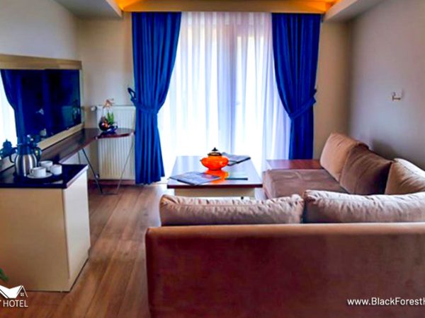 Artvin-otel-Black-Forest-Hotel-Artvin-Hotel-Savsat-Otel-savsat-otel-suit-Oda-5