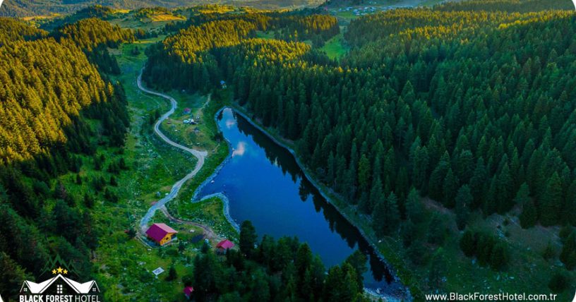 Artvin-otel-Black-Forest-Hotel-Artvin-Hotel-Savsat-Otel-blog-savsat-balikgolu