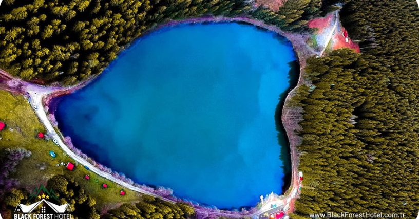 Artvin-otel-Black-Forest-Hotel-Artvin-Hotel-Savsat-Otel-blog-savsat-karagol-3