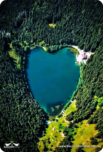 Artvin-otel-Black-Forest-Hotel-Artvin-Hotel-Savsat-Otel-blog-savsat-karagol