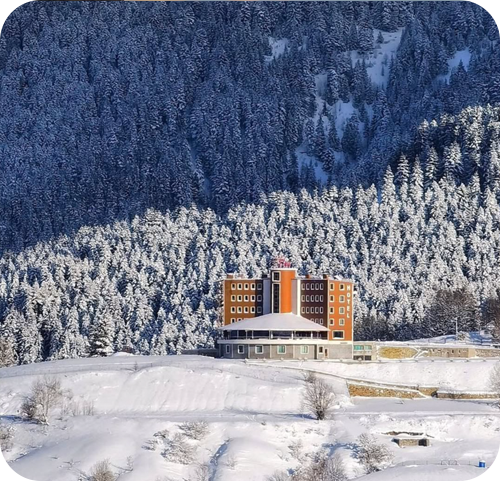 Artvin otel Black Forest Hotel Artvin Hotel Savsat Otel savsat otel instagram 11