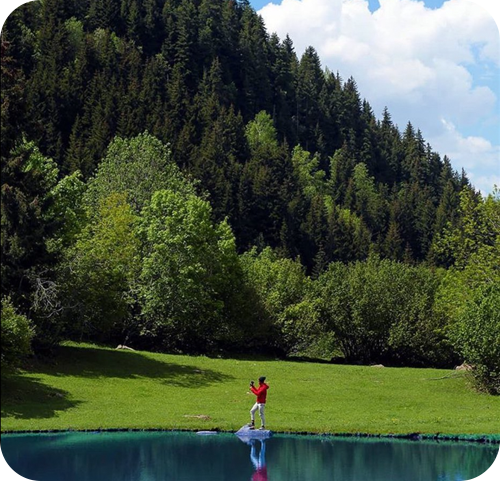 Artvin otel Black Forest Hotel Artvin Hotel Savsat Otel savsat otel instagram 14
