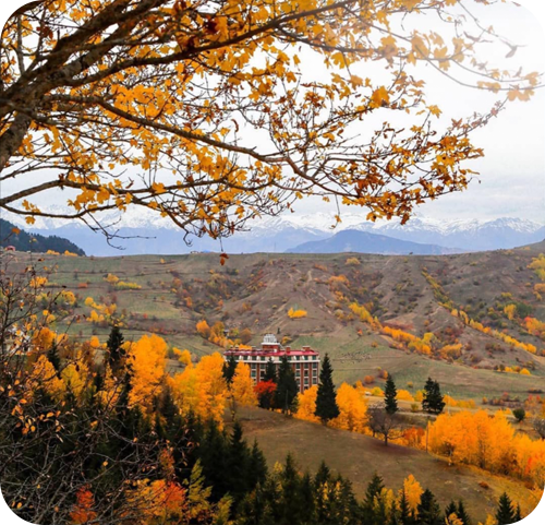 Artvin otel Black Forest Hotel Artvin Hotel Savsat Otel savsat otel instagram 15