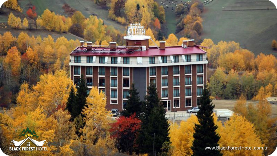Artvin-otelleri-Black-Forest-Hotel-Artvin-Hotel-Savsat-Otel-blog-savsat-tarihi-guzellikleri2