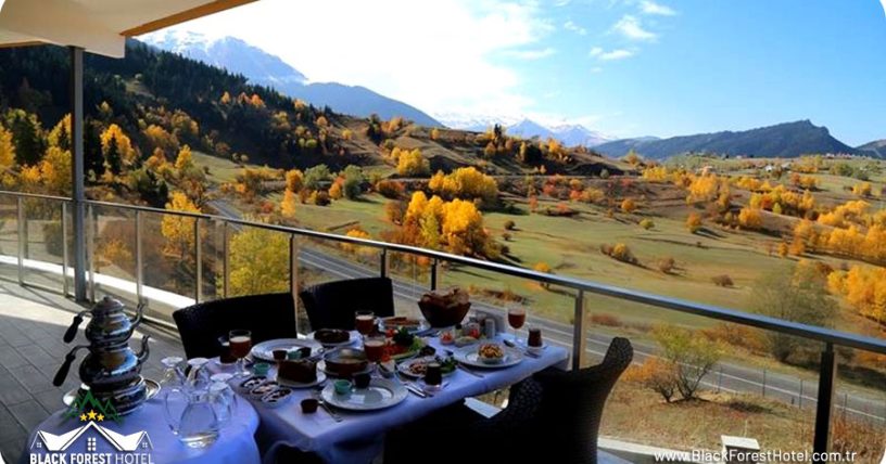 Şavşat Otel Artvin-otelleri-Black-Forest-Hotel-Artvin-Hotel-Savsat-Otel-blog-savsat-tarihi-guzellikleri3