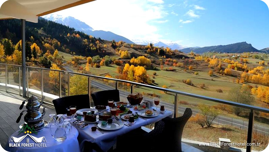 Şavşat Otel Artvin-otelleri-Black-Forest-Hotel-Artvin-Hotel-Savsat-Otel-blog-savsat-tarihi-guzellikleri3