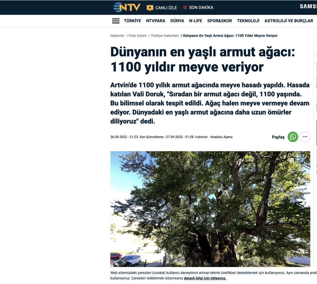 savsat-otel-Black-Forest-Hotel-Savsat-Artvin-Otel-Dunyanin-En-Yasli-Armut-Agaci-4