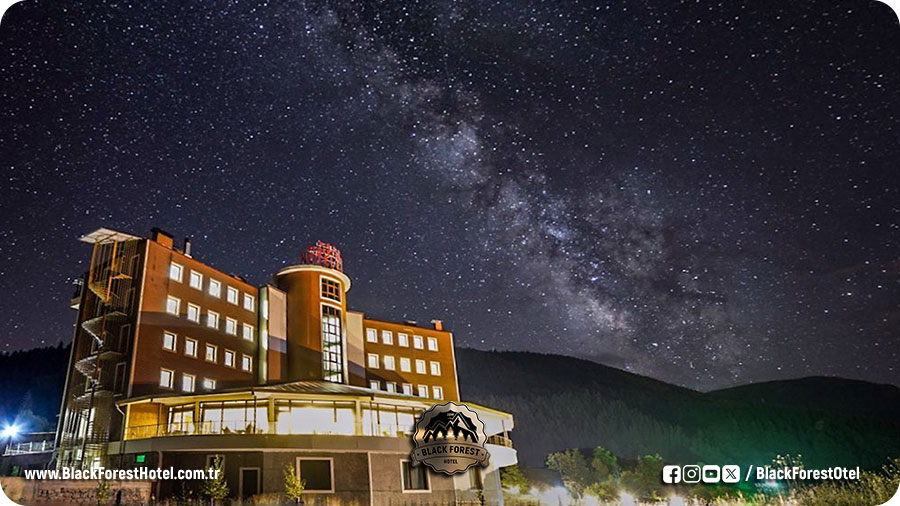 şavşat otel tavsiye-artvin şavşat otelleri -şavşat otel-artvin şavşat otelleri savsat-otel-Black-Forest-Hotel-Savsat-Artvin-Otel-